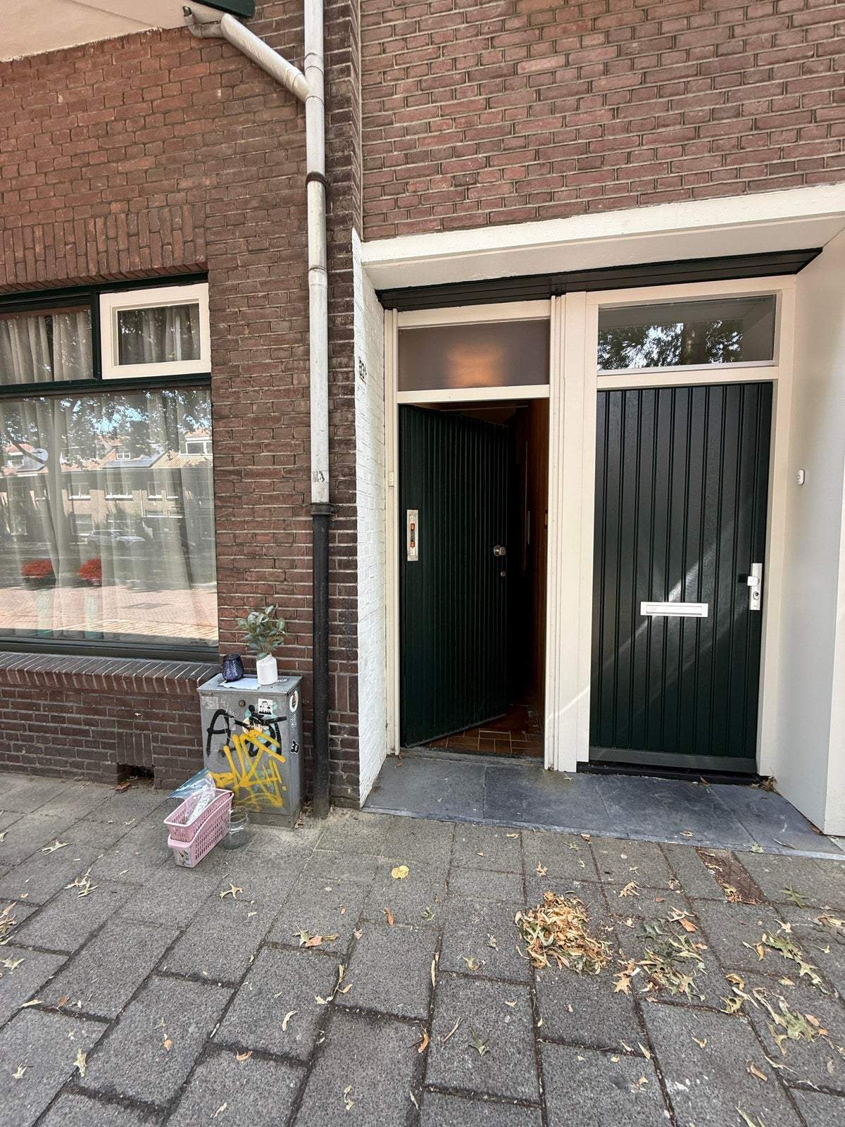 Image 2 of 11