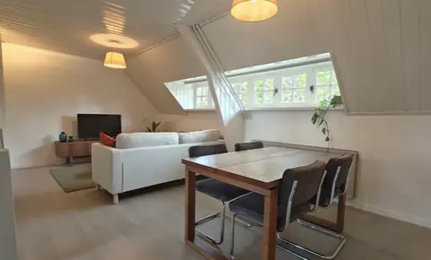 Apartamento Amueblado de 2 Habitaciones Aalsterweg, Eindhoven - En Alquiler