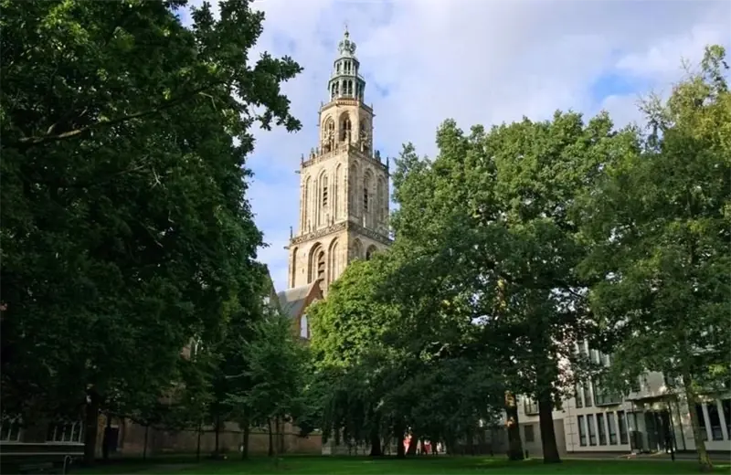 Image 19 of 19