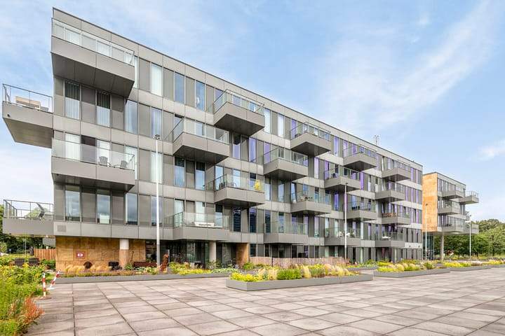 Bild 1 von 11
