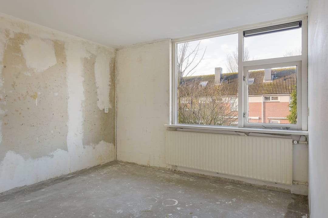 Image 8 of 12