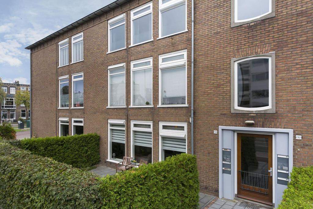Afbeelding 1 van 12