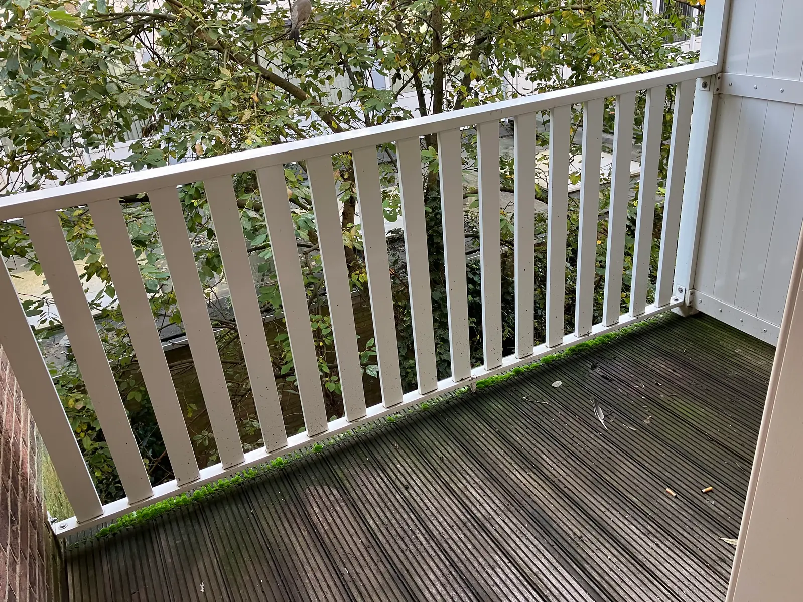 Image 9 of 19