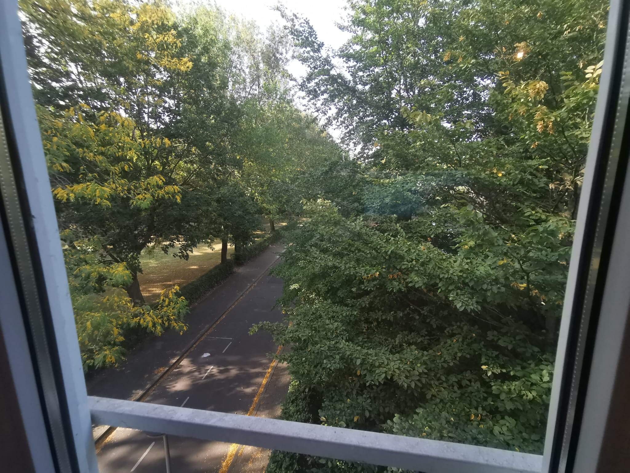 Image 13 of 14
