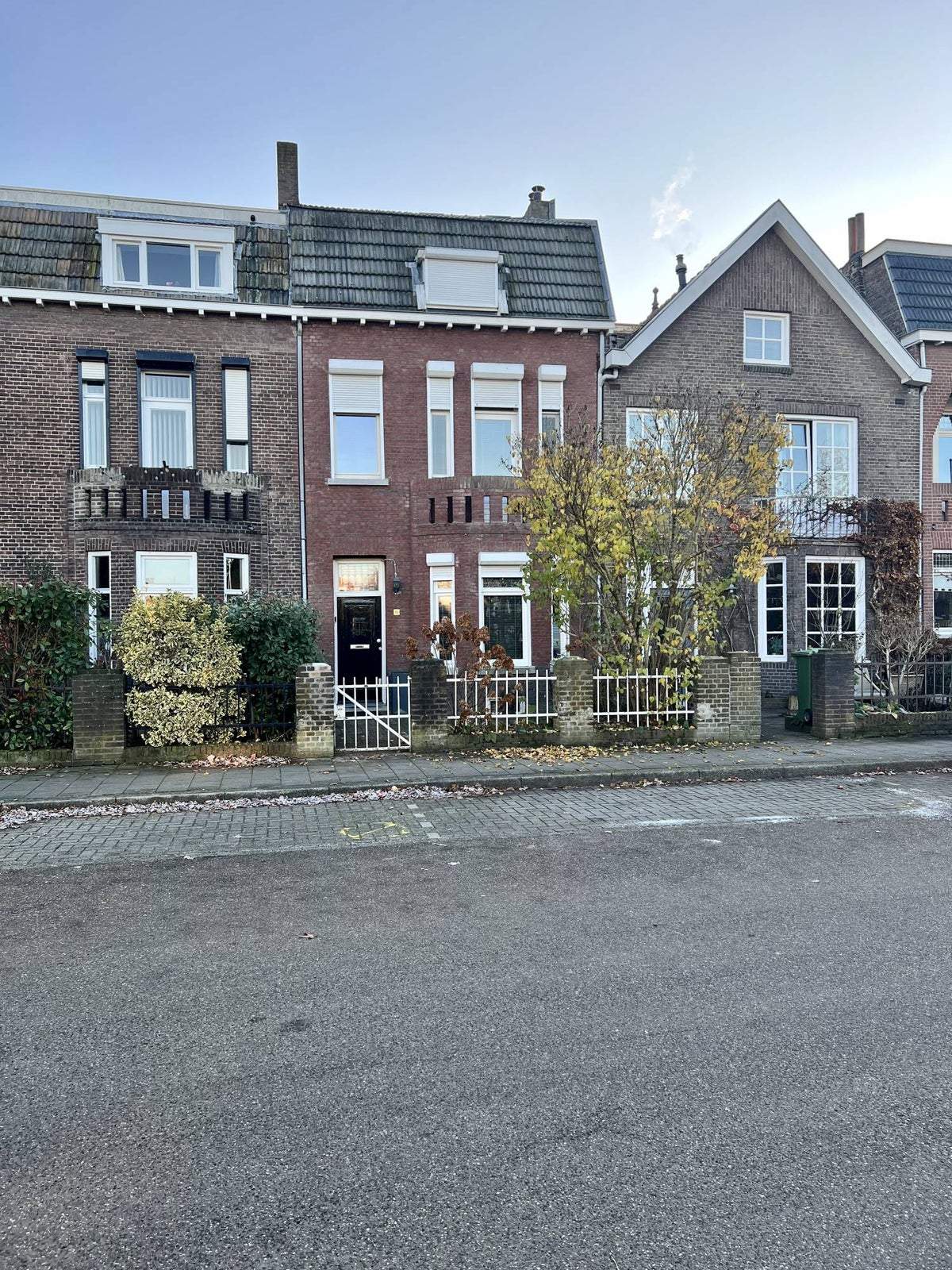 Afbeelding 1 van 36