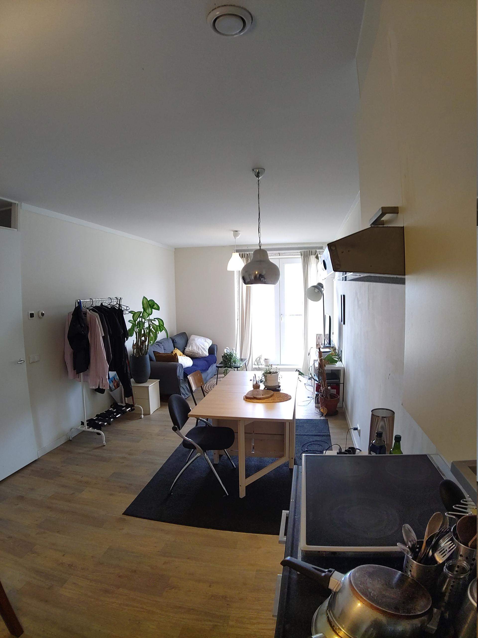 Image 2 of 8