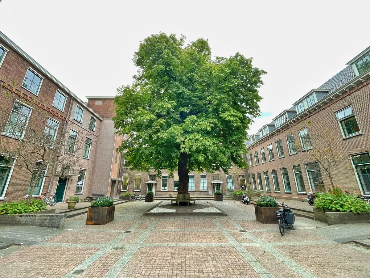 Afbeelding 24 van 30