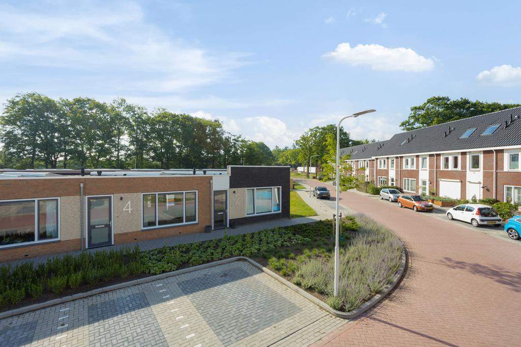Afbeelding 3 van 12