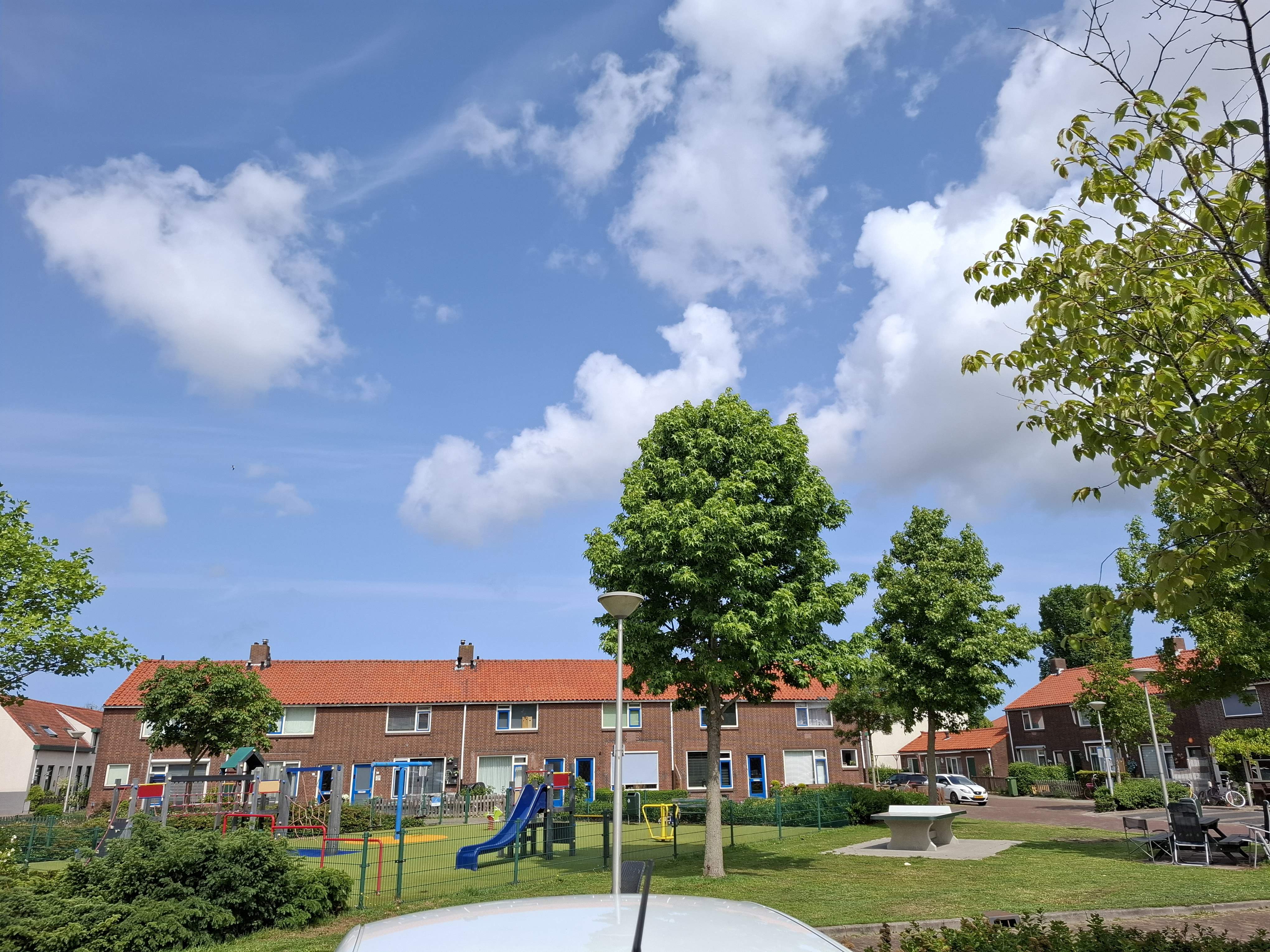 Afbeelding 3 van 8