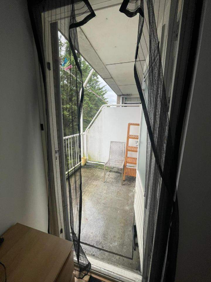 Image 3 of 8