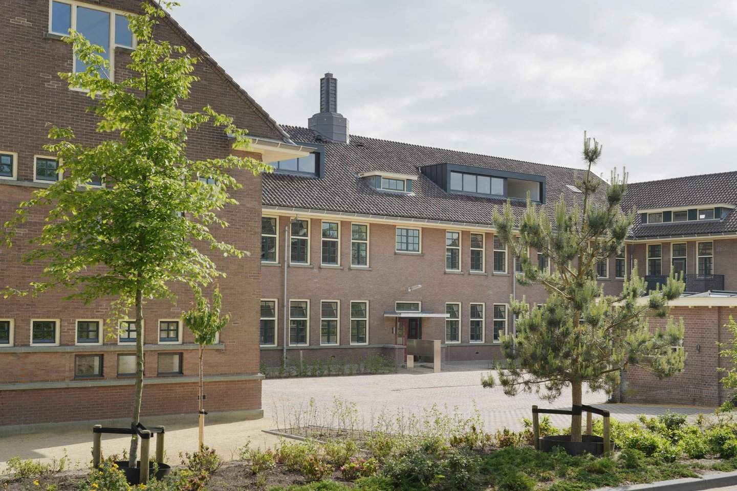 Afbeelding 1 van 8