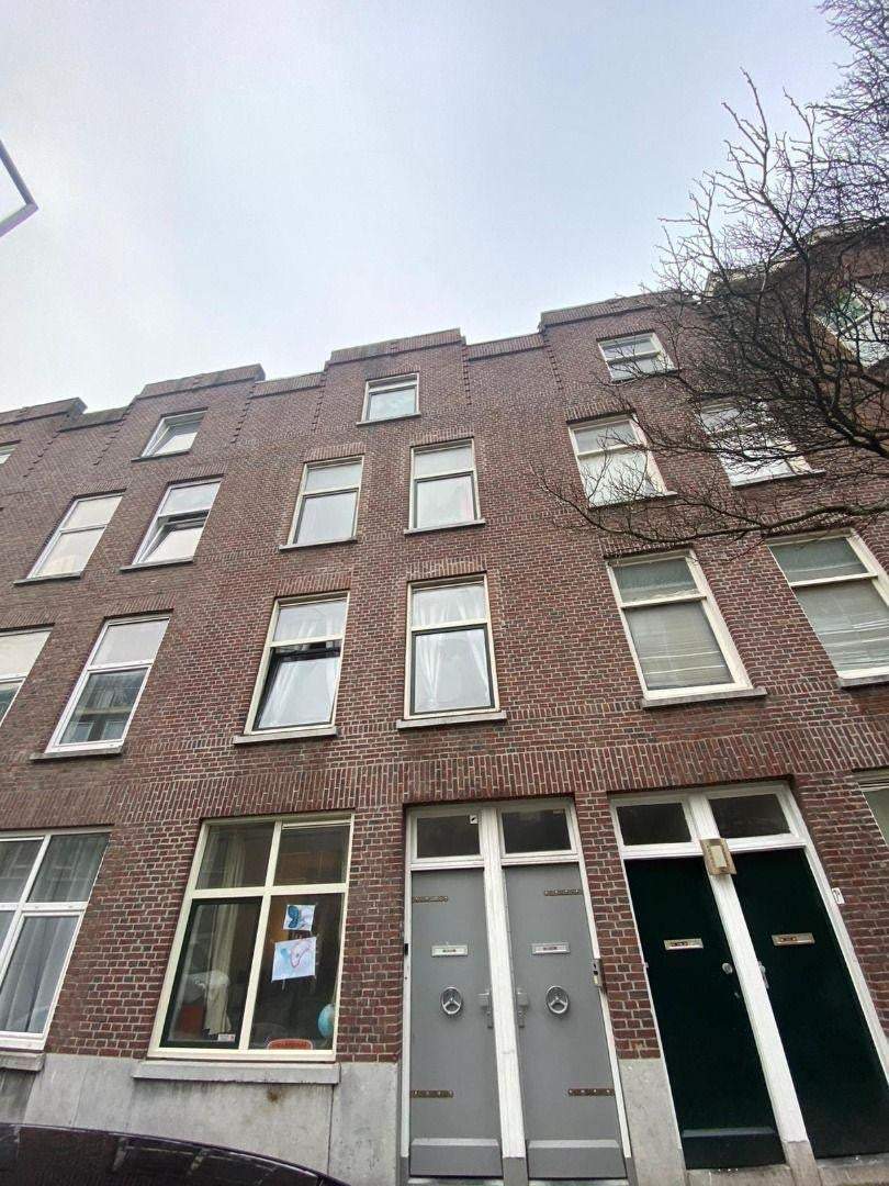 Afbeelding 1 van 8
