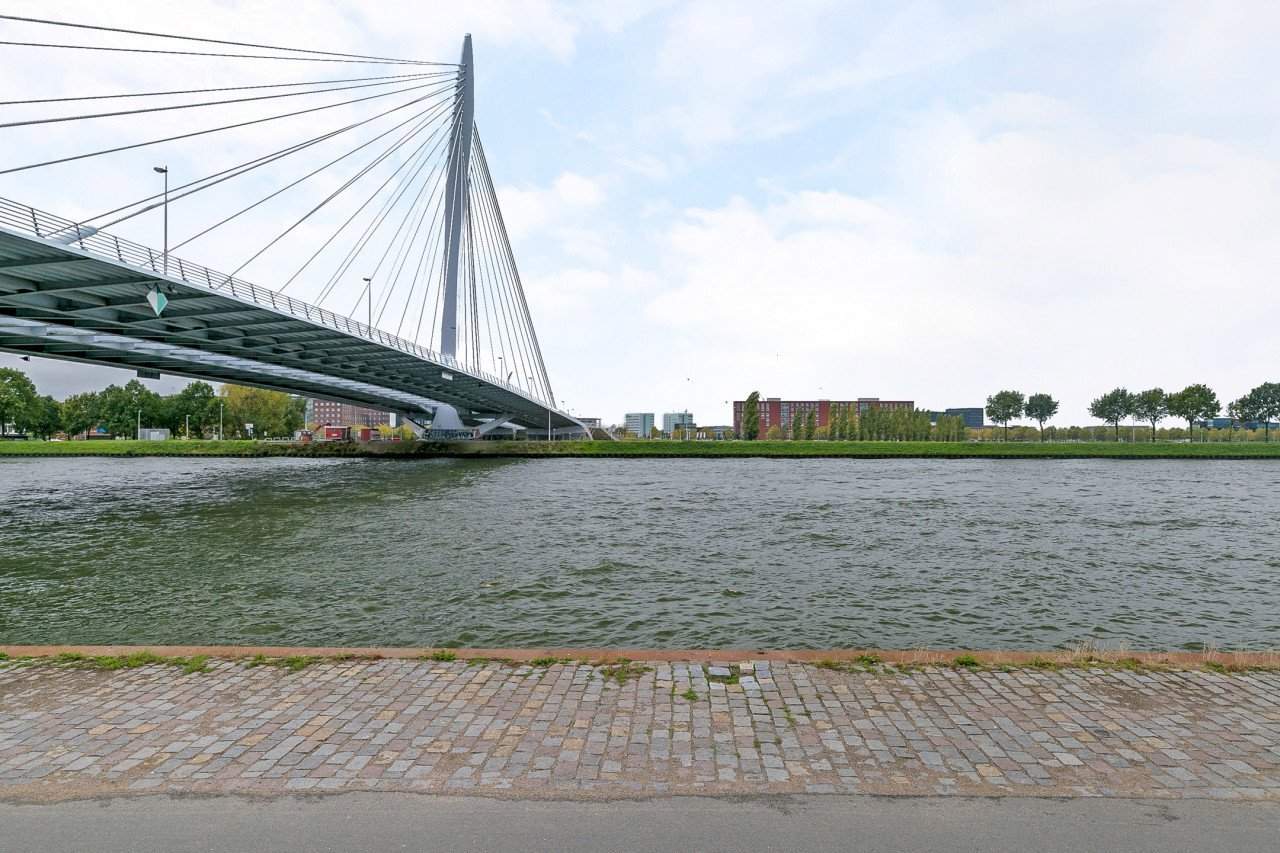 Image 17 sur 19