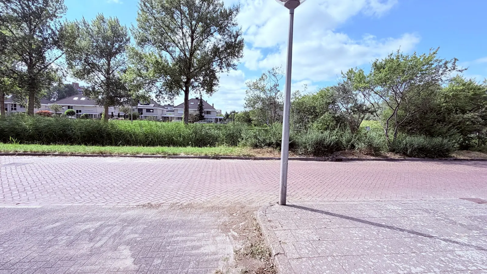 Image 42 of 44