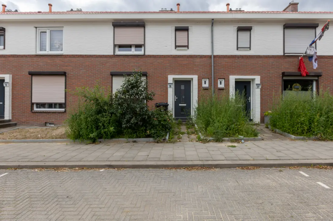 Afbeelding 1 van 3