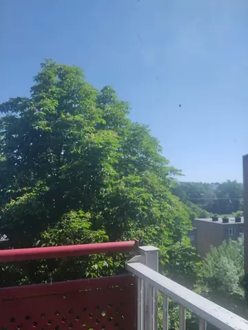 Gemeubileerde kamer Berghofstraat, Eygelshoven - Te huur