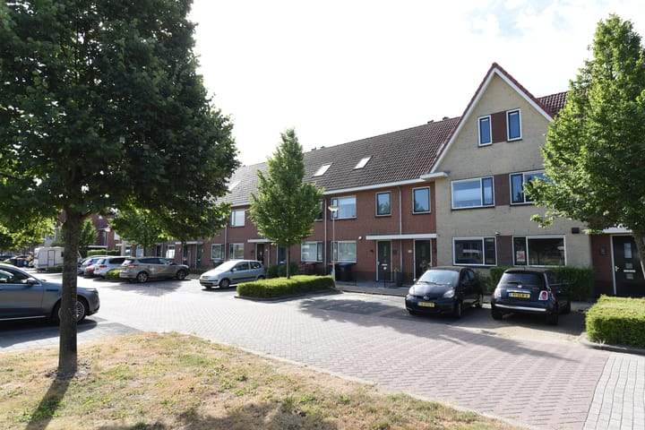 Bild 1 von 41
