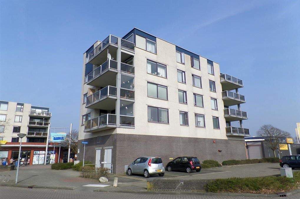 Afbeelding 1 van 11