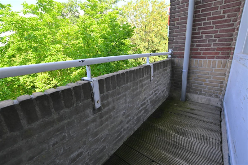 Afbeelding 13 van 14