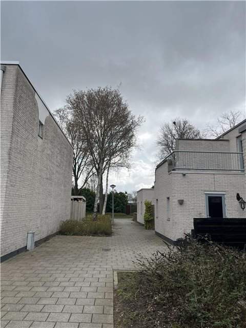 Afbeelding 2 van 3