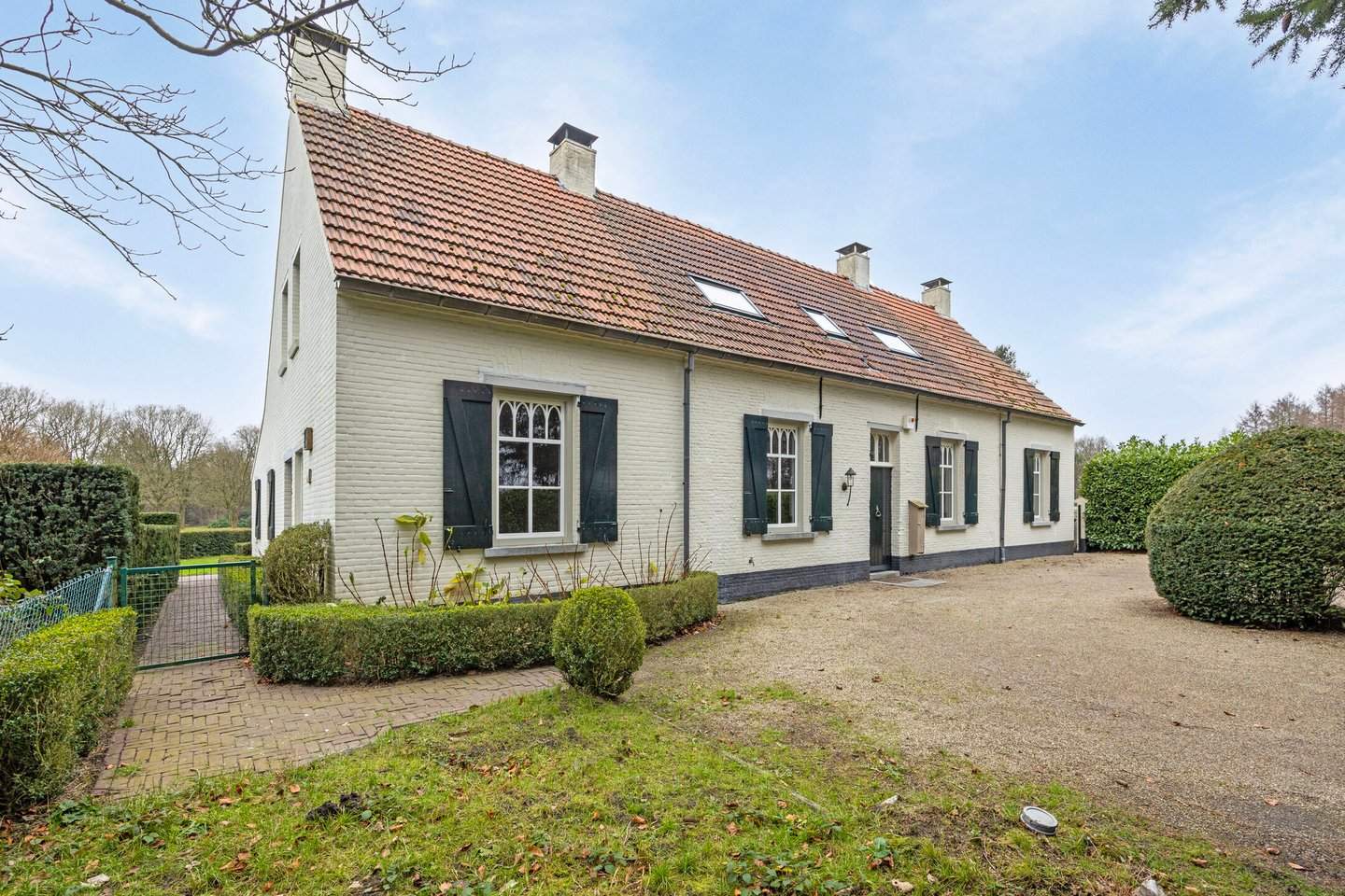 Afbeelding 1 van 12