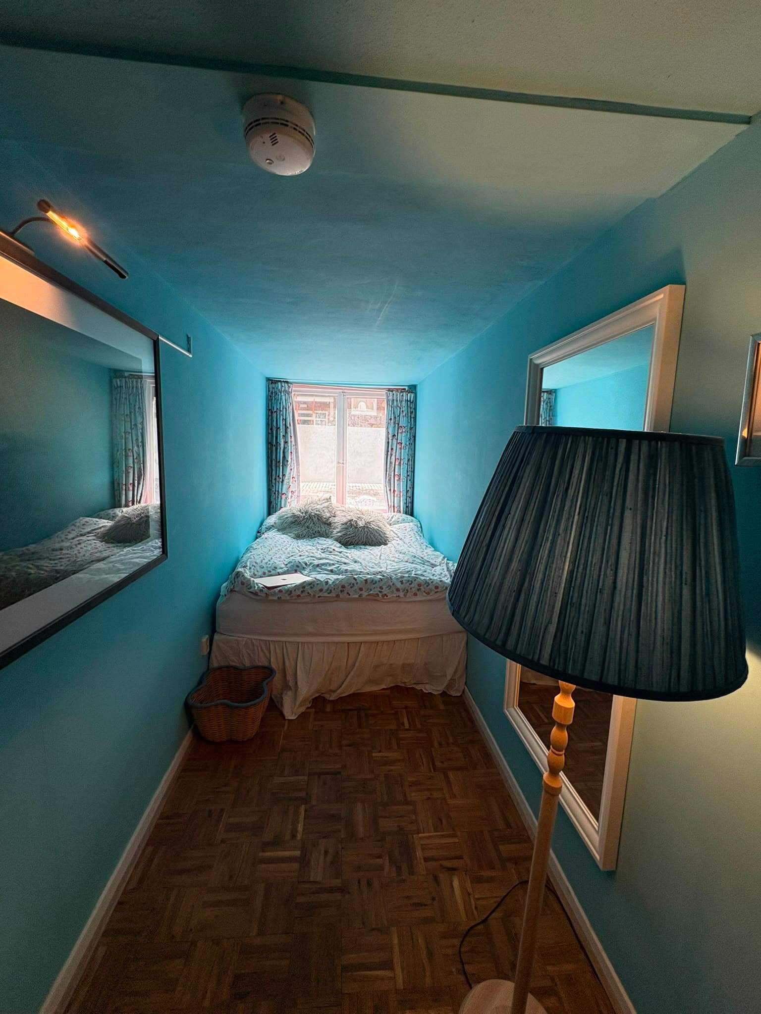 Imagen 6 de 8