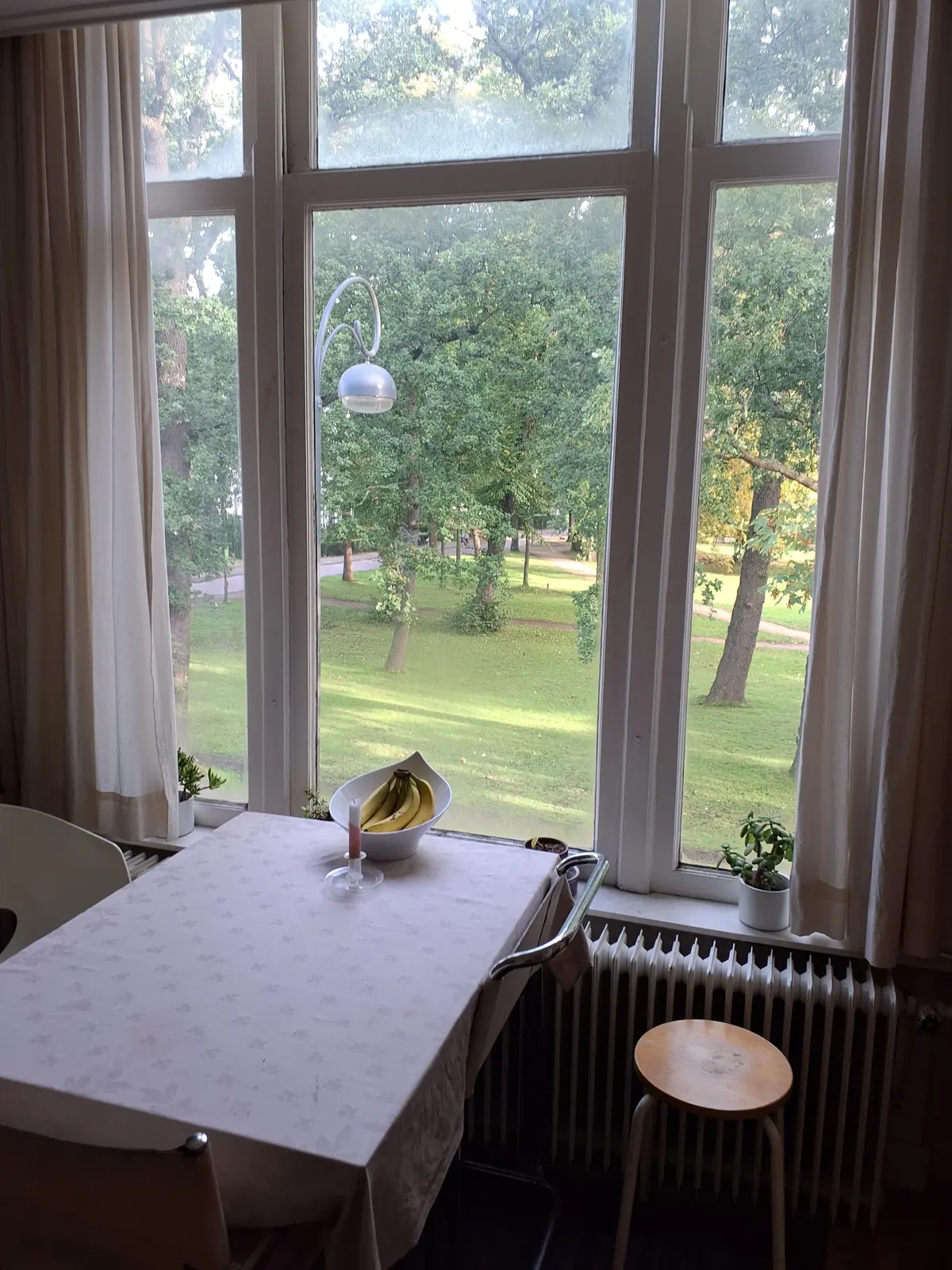 Bild 7 von 12