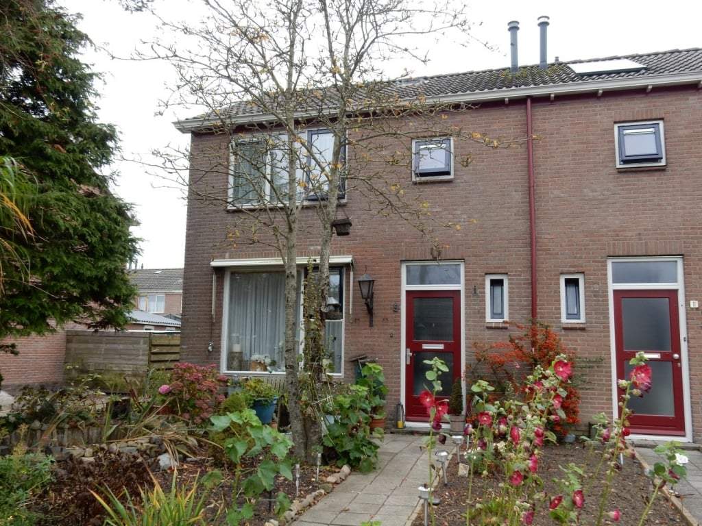 Afbeelding 1 van 1