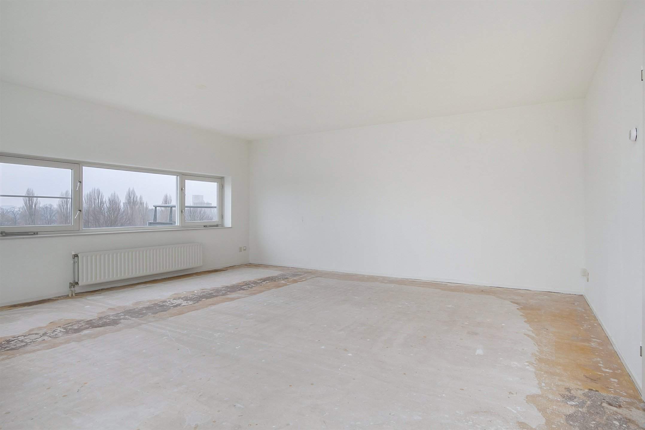 Bild 7 von 21