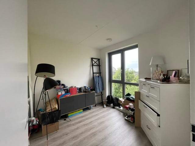 Bild 2 von 7