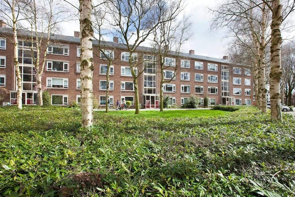 Afbeelding 1 van 12