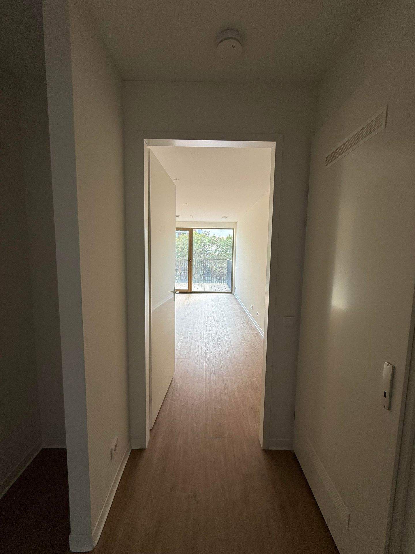 Image 20 of 51