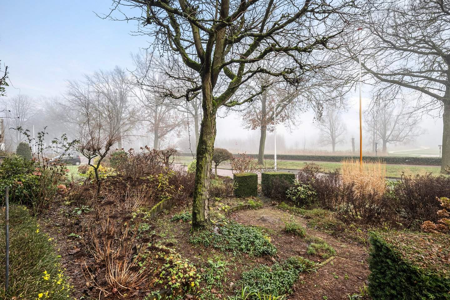 Afbeelding 3 van 12