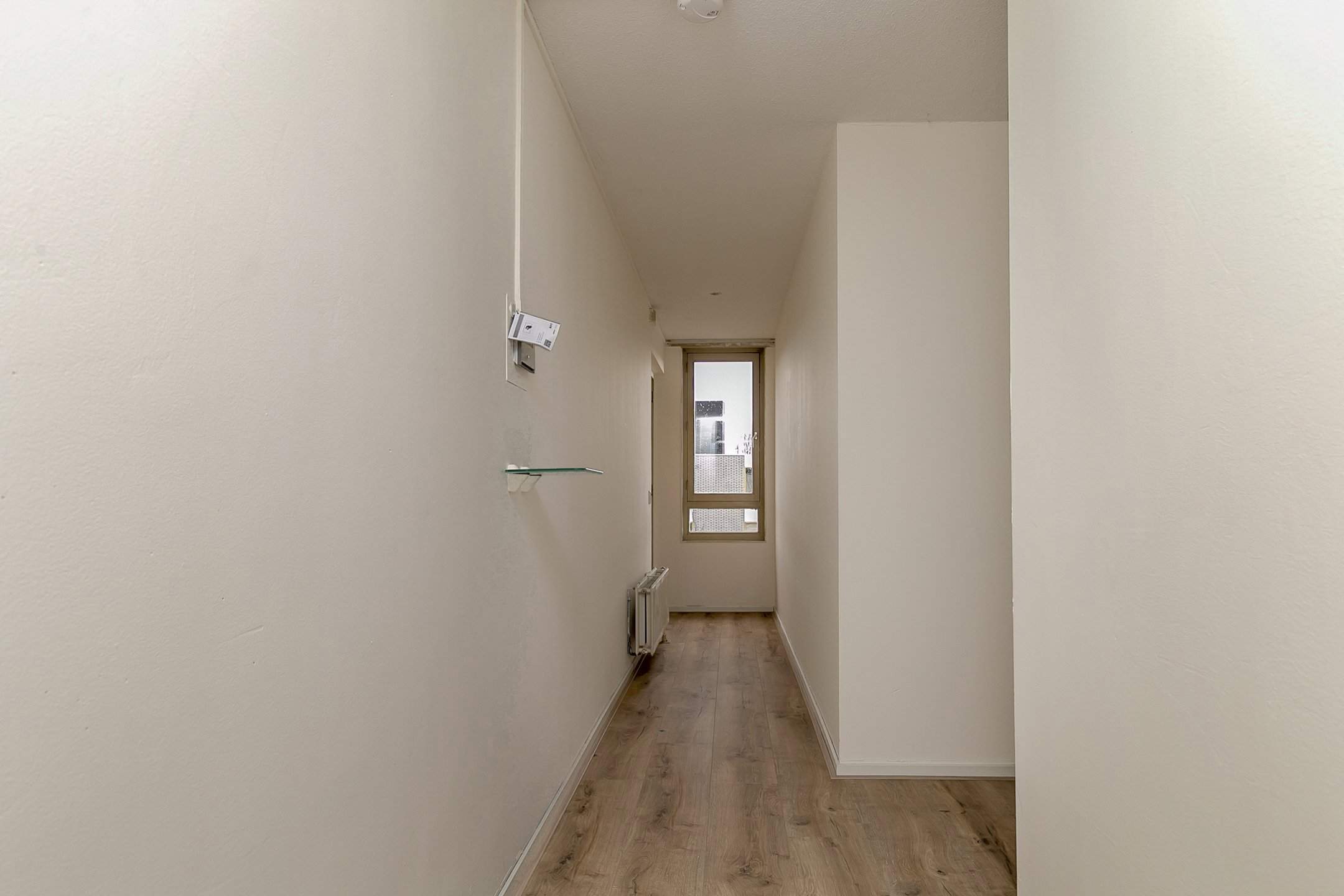 Image 2 of 12