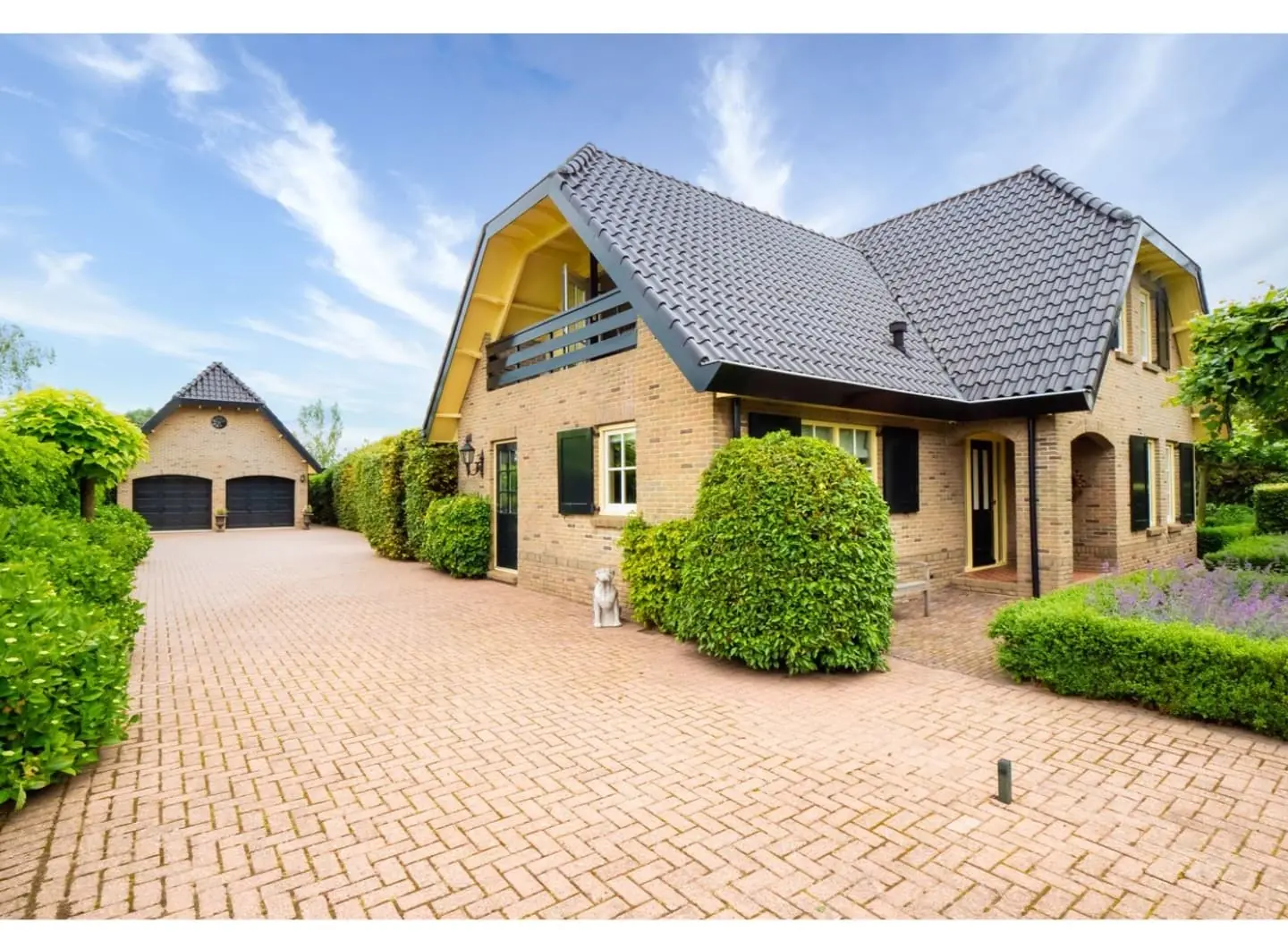 Imagen 8 de 10