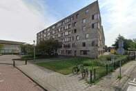 Afbeelding 3 van 4