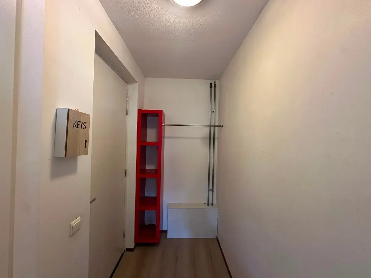 Image 2 of 7