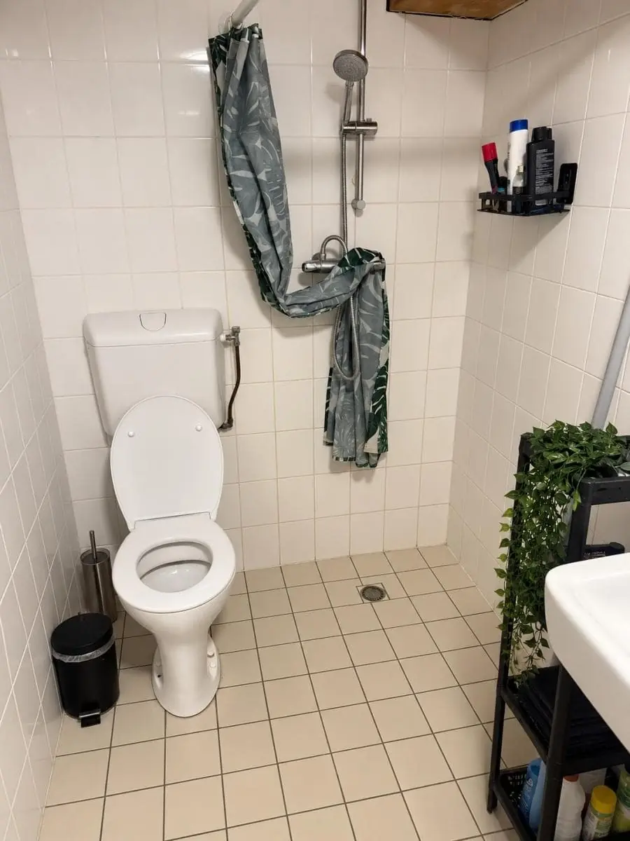 Image 6 of 6
