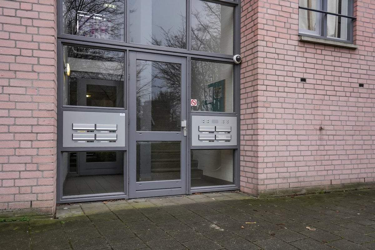 Afbeelding 2 van 30
