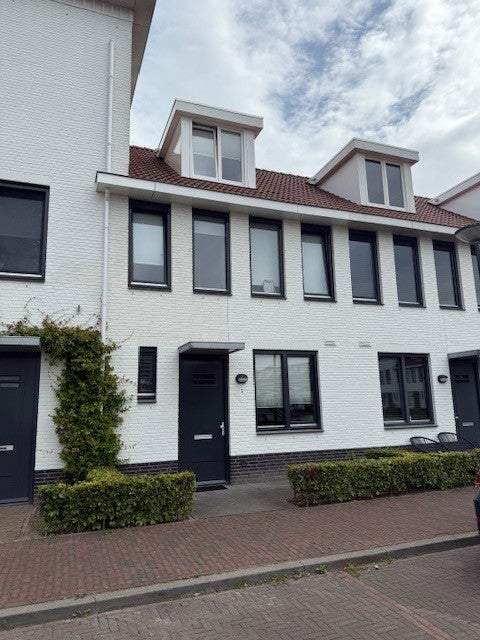 Afbeelding 1 van 24