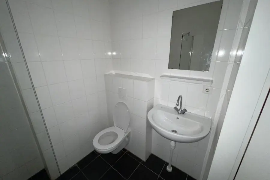 Image 4 of 20