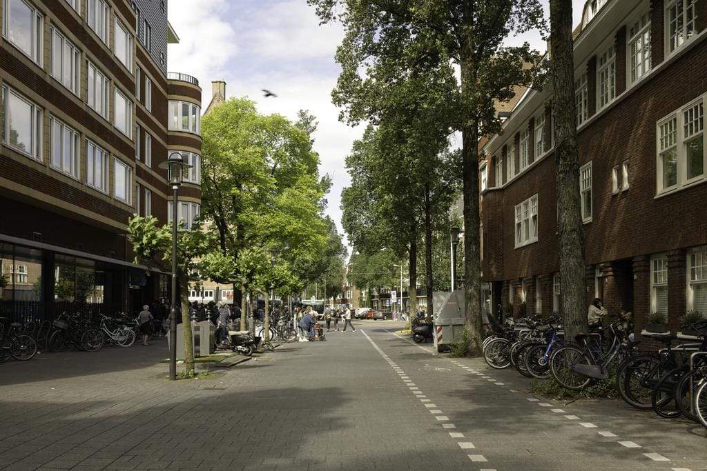 Afbeelding 6 van 34