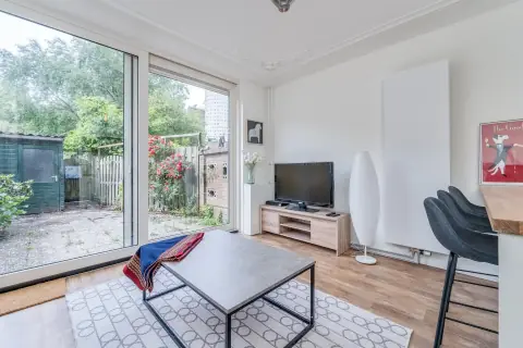 Furnished Room Pieter Bothstraat, Den Haag