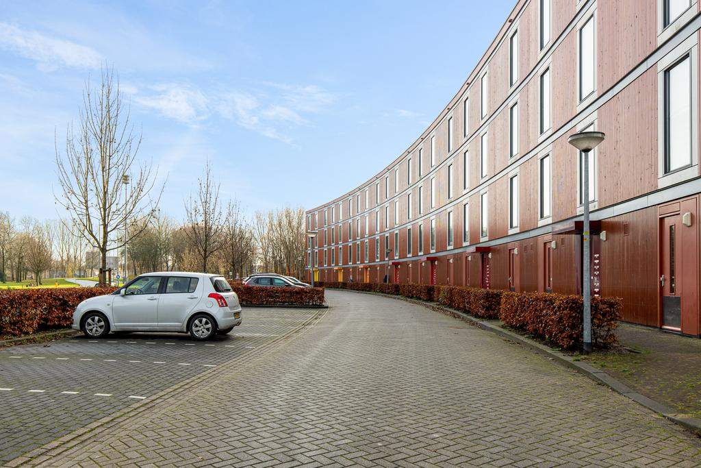 Afbeelding 3 van 16
