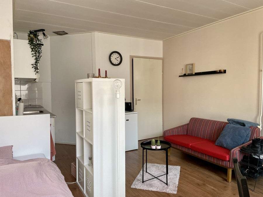 Bild 3 von 8