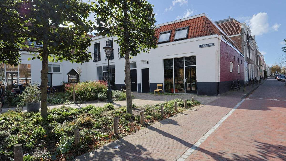 Afbeelding 1 van 11