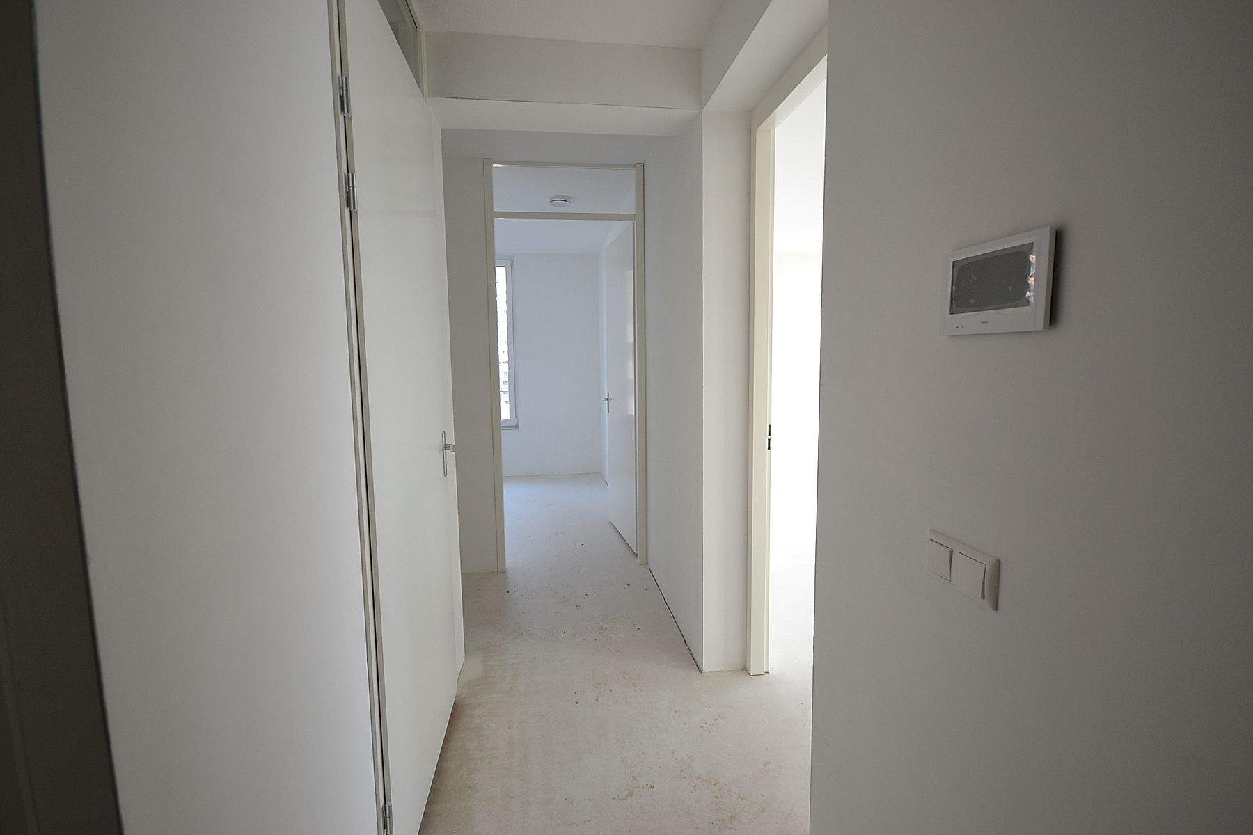 Image 2 of 8