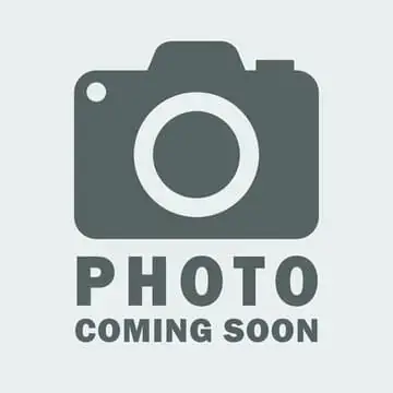 Room Steenweg, Utrecht - For Rent