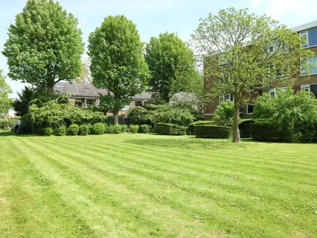 Image 4 of 24