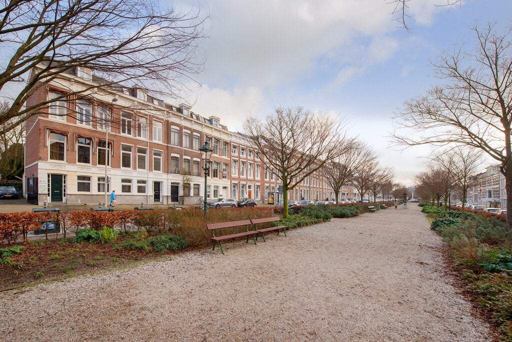 Afbeelding 1 van 45
